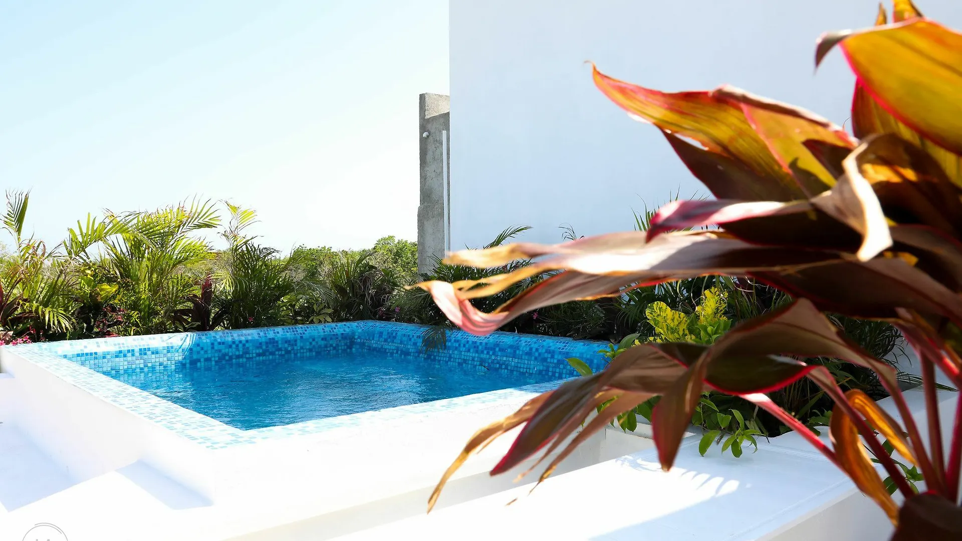 Apartment Martiki Condo 2 Bedroom Sleeps 4 Tulum