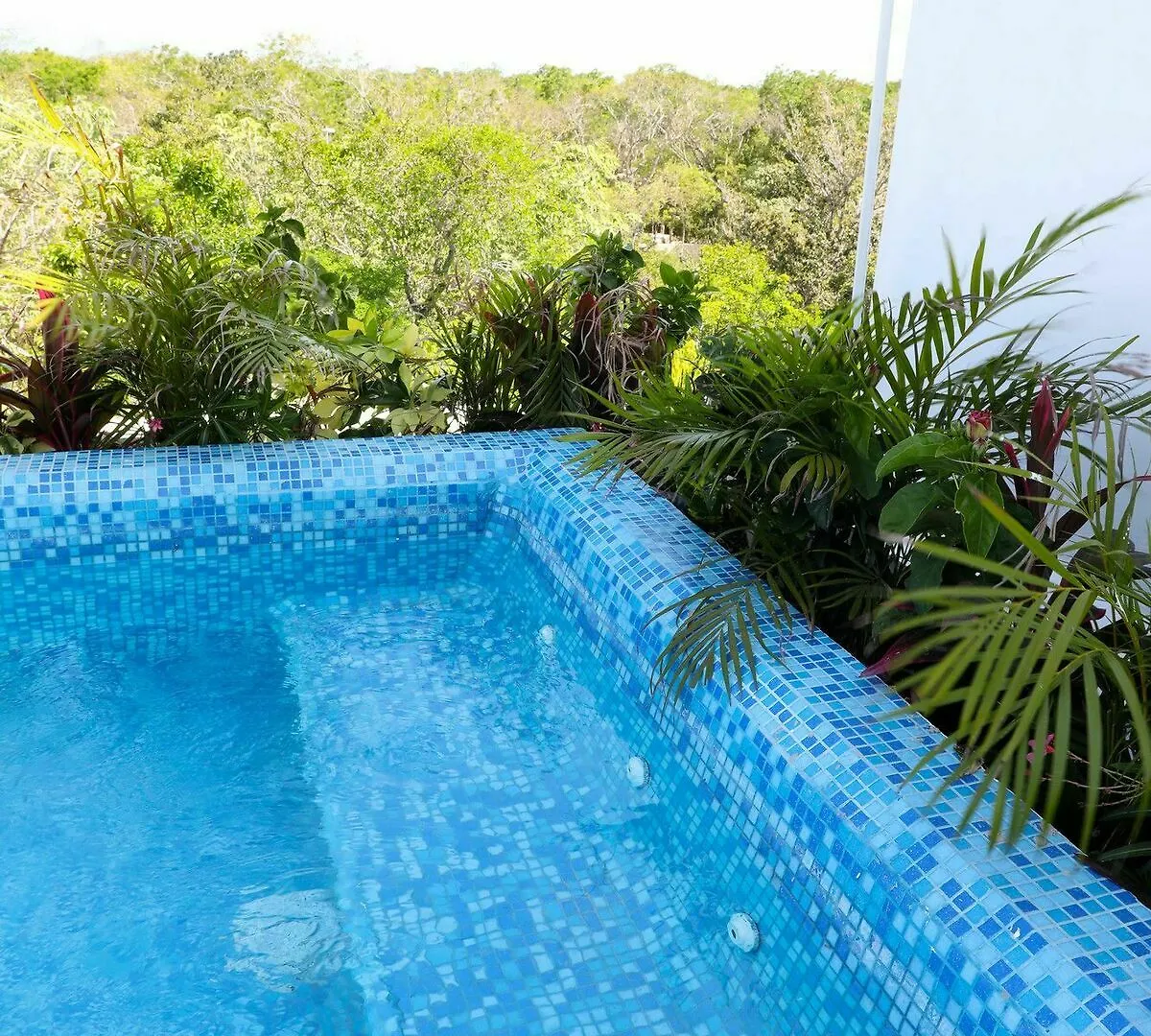 Martiki Condo 2 Bedroom Sleeps 4 Tulum Mexico